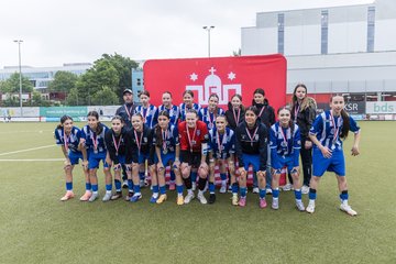 Bild 134 - wBJ Hamburger SV - FC Suederelbe : Ergebnis: 9:0